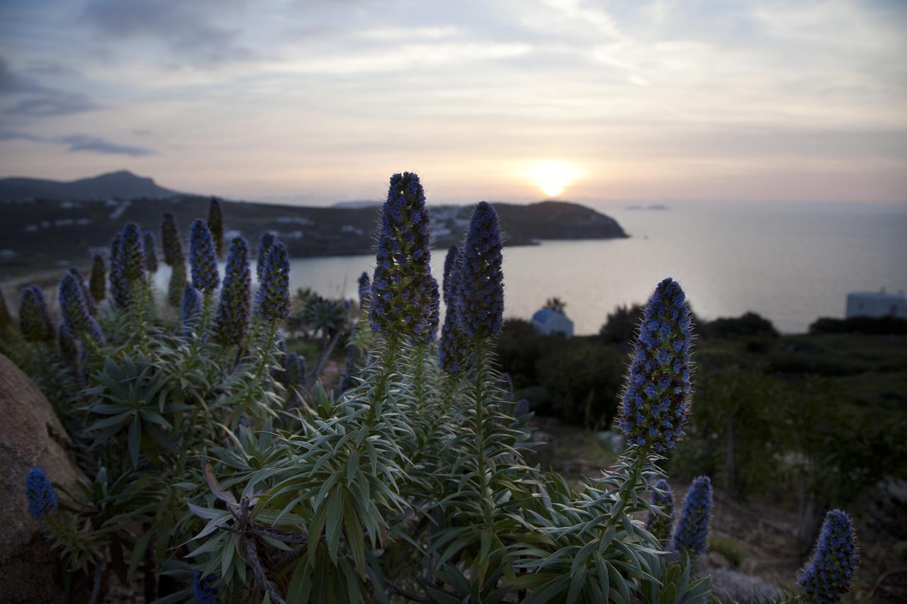 Plan-B Holidays Kalo Livadi Exterior foto